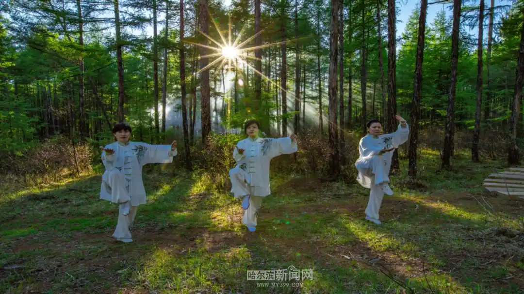 大兴安岭夏季避暑旅游线路_黑龙江省生态康养旅游目的地_东北大兴安岭旅游攻略