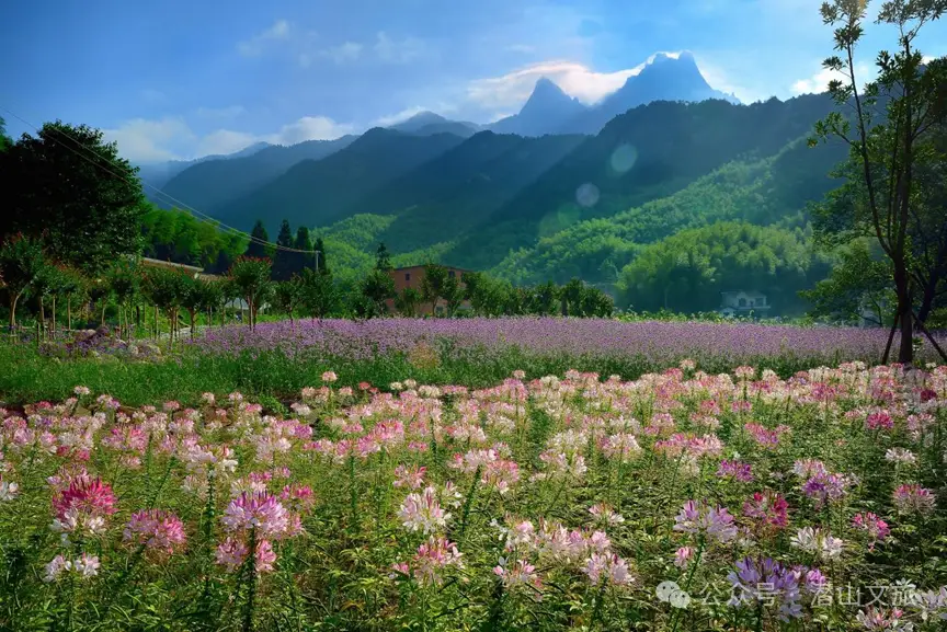 天柱山天气旅游攻略_天柱山清凉景点_潜山避暑旅游