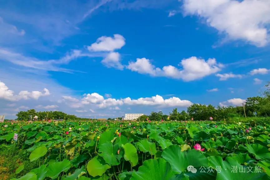 天柱山天气旅游攻略_天柱山清凉景点_潜山避暑旅游