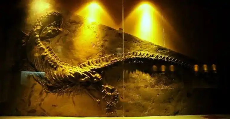 安顺五一旅游线路_安顺屯堡文化体验_贵州安顺旅游攻略
