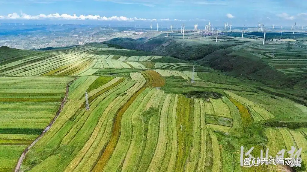 张家口坝上草原旅游攻略_张家口坝上旅游攻略_坝上草原自驾游