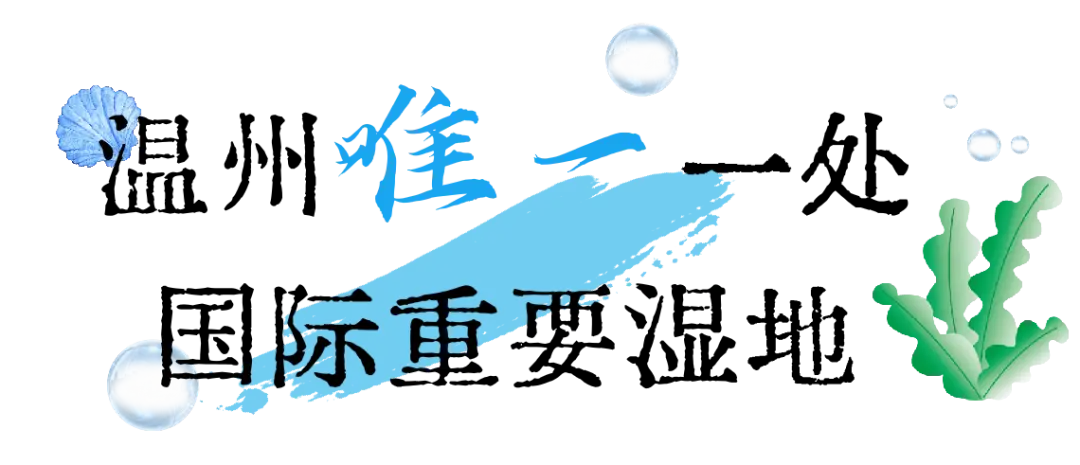 南麂列岛国际重要湿地_浙江平阳南麂旅游攻略_温州南麂列岛旅游攻略