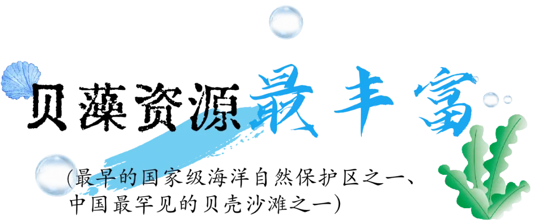 温州南麂列岛旅游攻略_南麂列岛国际重要湿地_浙江平阳南麂旅游攻略