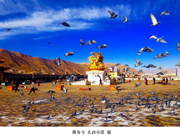 黄南藏族自治州旅游文化_黄南热贡文化生态保护实验区_青海黄南藏族自治州旅游攻略