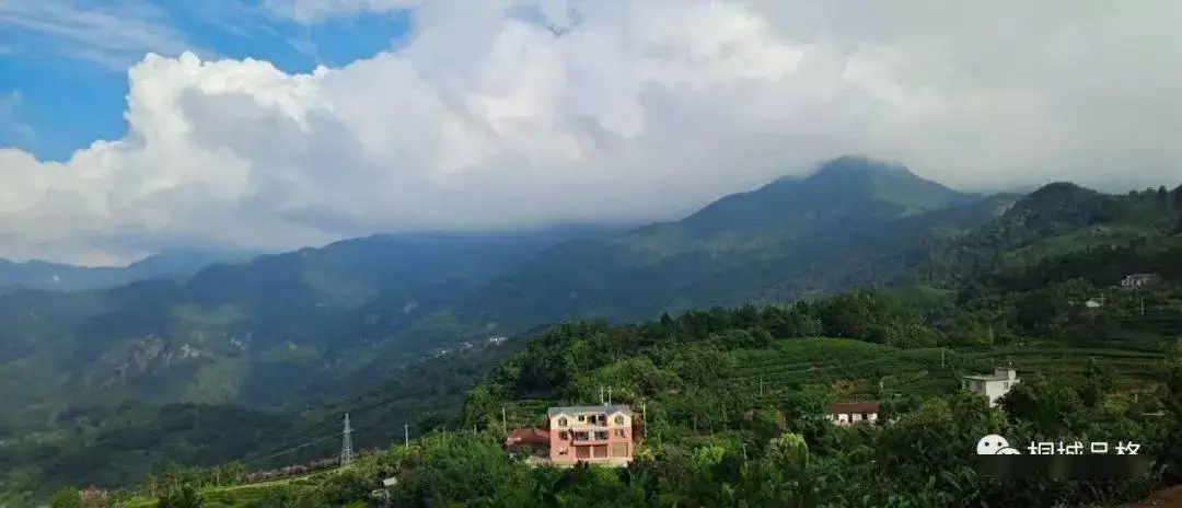 桐城旅游攻略 六尺巷文庙古城区景点免门票 桐城派历史文化名城旅游线路推荐_桐城旅游攻略