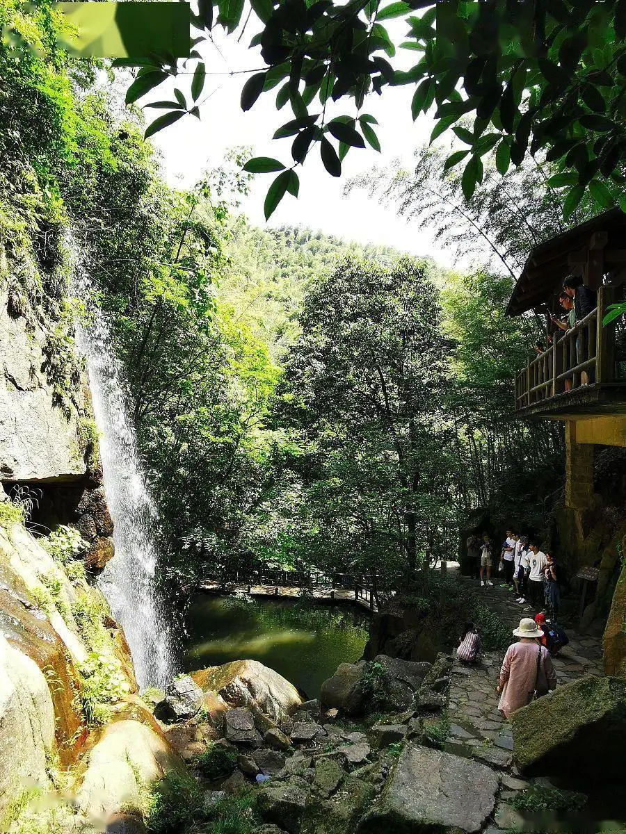 莫干山民宿旅游攻略_莫干山民宿住宿推荐_莫干山自由行攻略