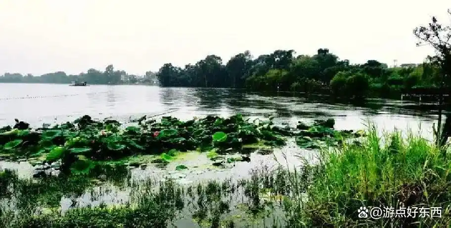 合肥后花园周末游_岱山湖旅游攻略_合肥岱山湖旅游攻略