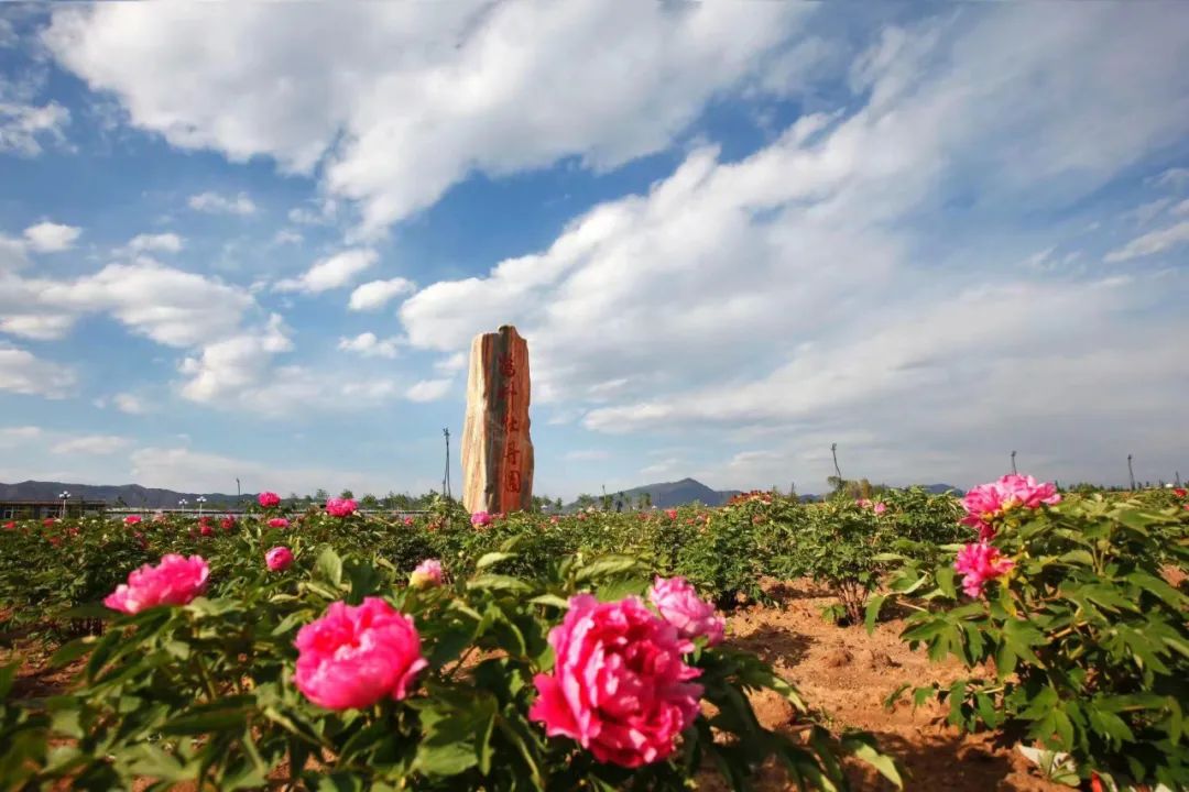 延庆区春季文旅产品推介会_延庆十里画廊旅游攻略_踏青赏花精品线路