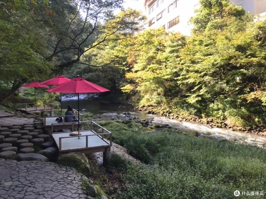 买个茶位可以静心赏景