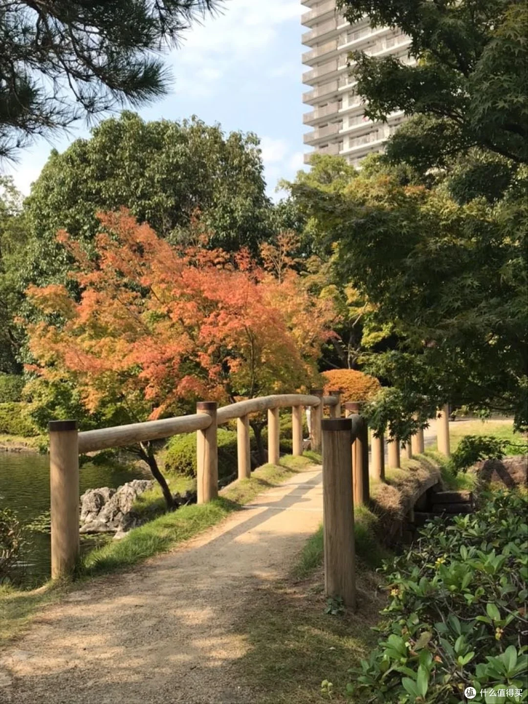 <strong>日本名古屋—加贺—金泽—东京，金秋十月闲云野鹤</strong>