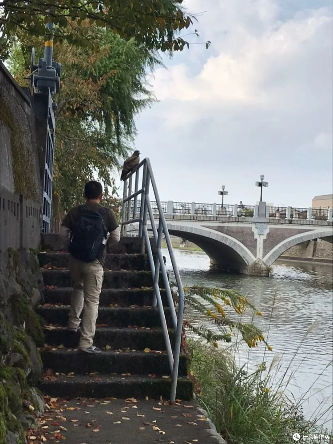 老鹰，不敢过去