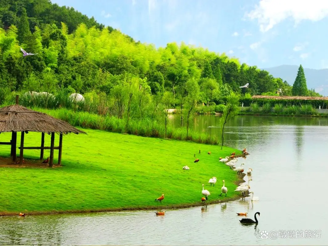 安吉旅游必去景点_中国大竹海旅游攻略_湖州安吉旅游攻略