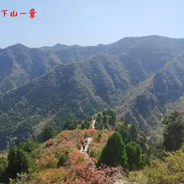 石家庄仙台山红叶观赏攻略_石家庄仙台山红叶专线_石家庄仙台山旅游攻略