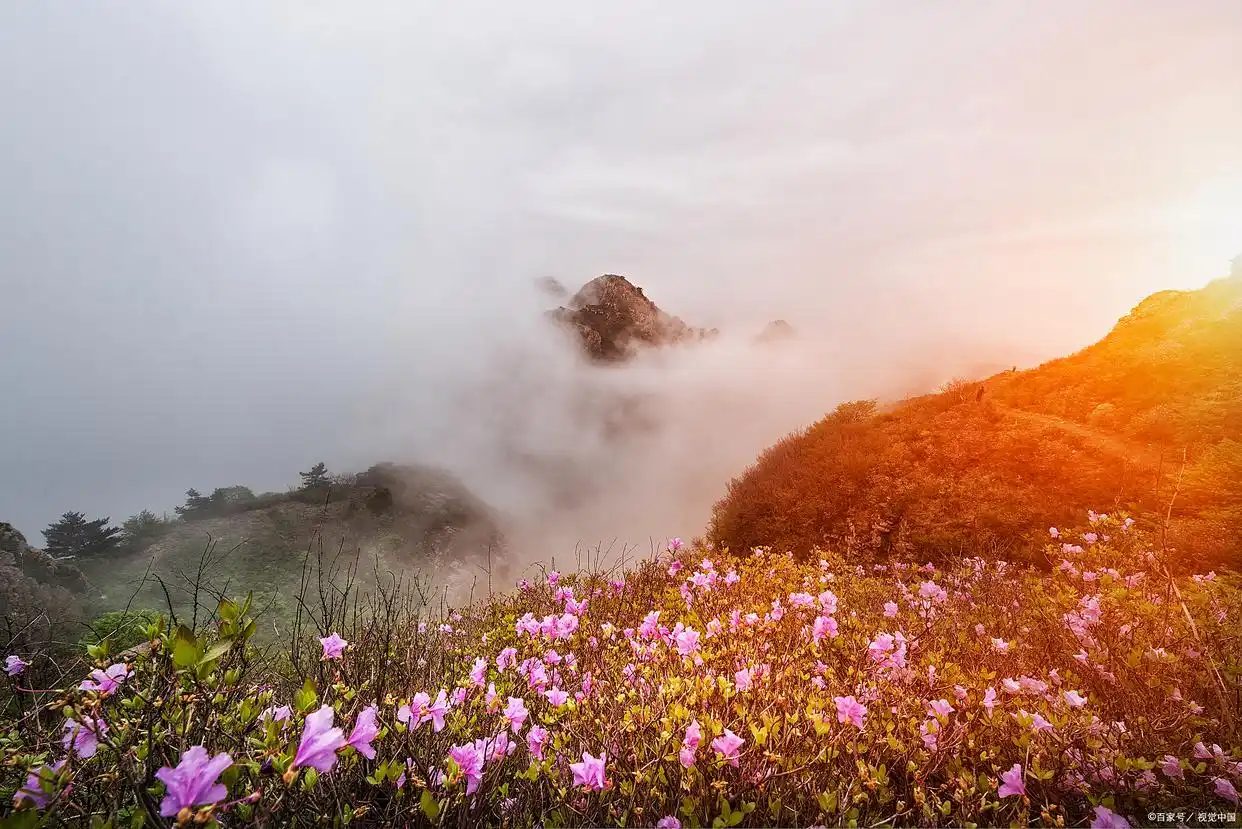 龙岩红尖山日出_红尖山杜鹃花海_龙岩红尖山旅游攻略