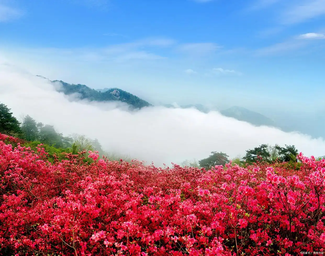 龙岩红尖山日出_龙岩红尖山旅游攻略_红尖山杜鹃花海