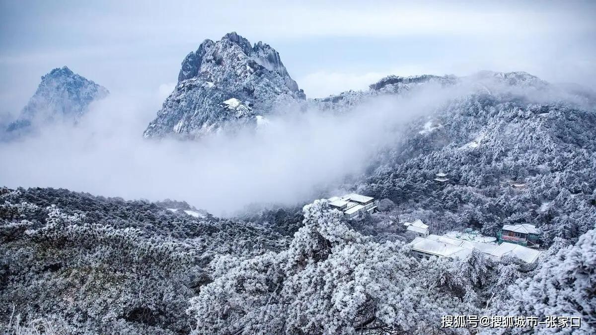 黄山当地金牌导游小涵_黄山婺源旅游攻略路线_黄山婺源旅游攻略