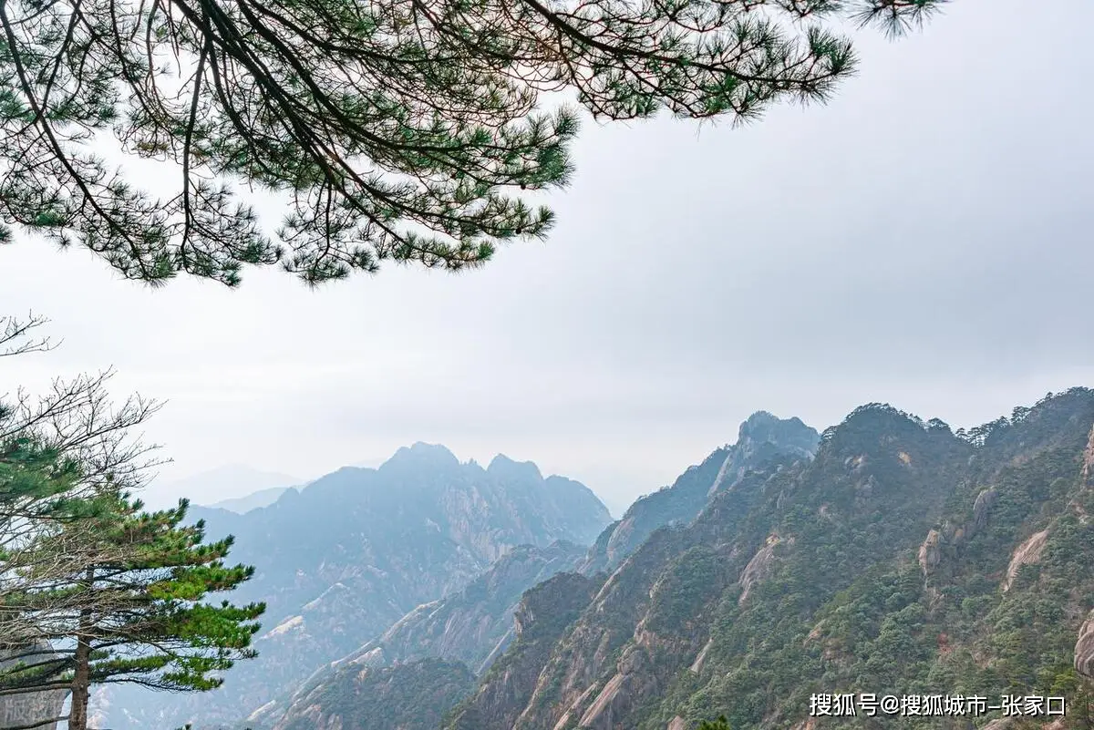 黄山婺源旅游攻略_黄山婺源旅游攻略路线_黄山当地金牌导游小涵