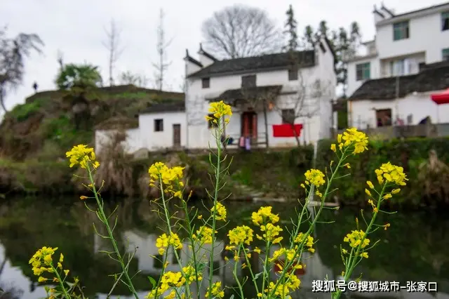 黄山婺源旅游攻略_五一黄山婺源旅游2日游景点推荐_黄山婺源旅游两天旅游攻略