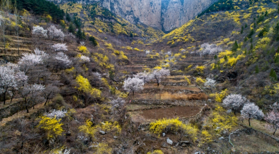 太行大峡谷桃花谷 春季踏青旅游攻略 河南安阳5A级景区_安阳太行山旅游攻略