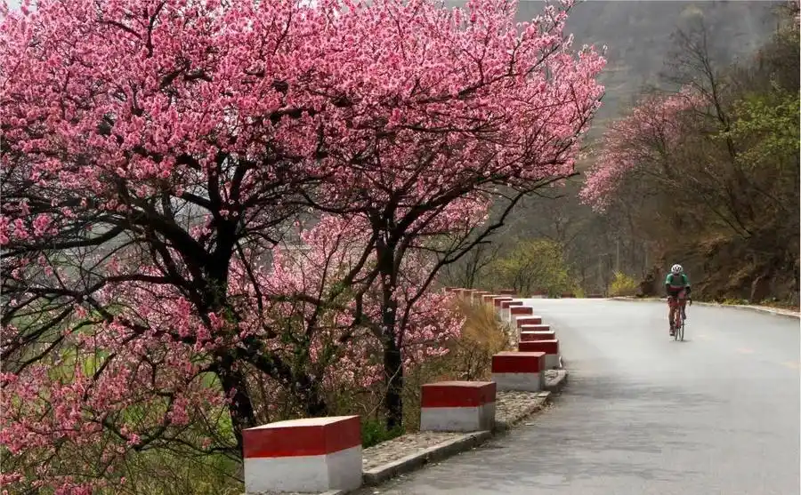 太行大峡谷桃花谷 春季踏青旅游攻略 河南安阳5A级景区_安阳太行山旅游攻略