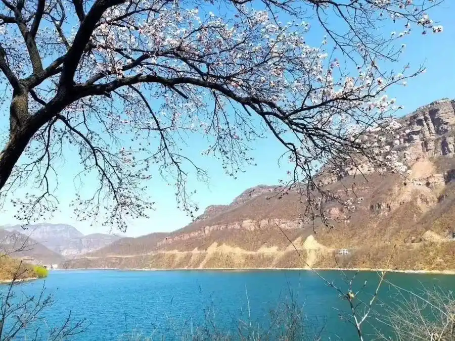 安阳太行山旅游攻略_太行大峡谷桃花谷 春季踏青旅游攻略 河南安阳5A级景区