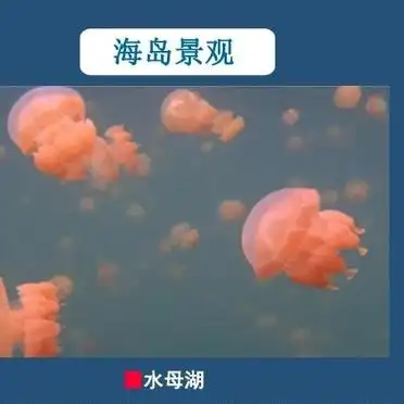 帕劳旅游攻略_到帕劳旅游自由行攻略_帕劳最佳旅游时间