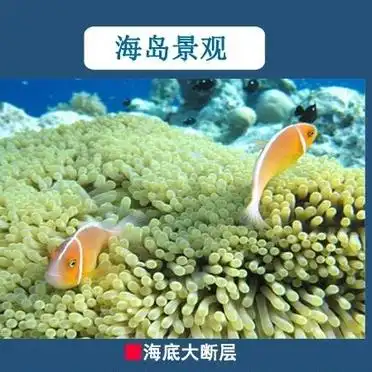 帕劳最佳旅游时间_帕劳旅游攻略_到帕劳旅游自由行攻略