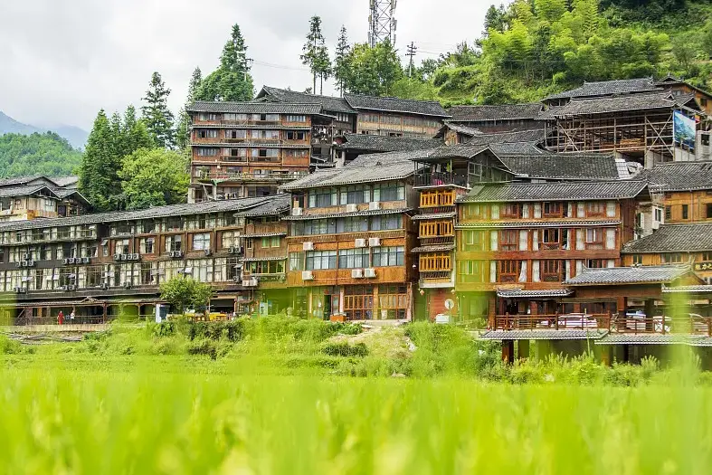 贵州百里杜鹃旅游攻略_贵州杜鹃花海旅游指南_贵州百里杜鹃花期攻略