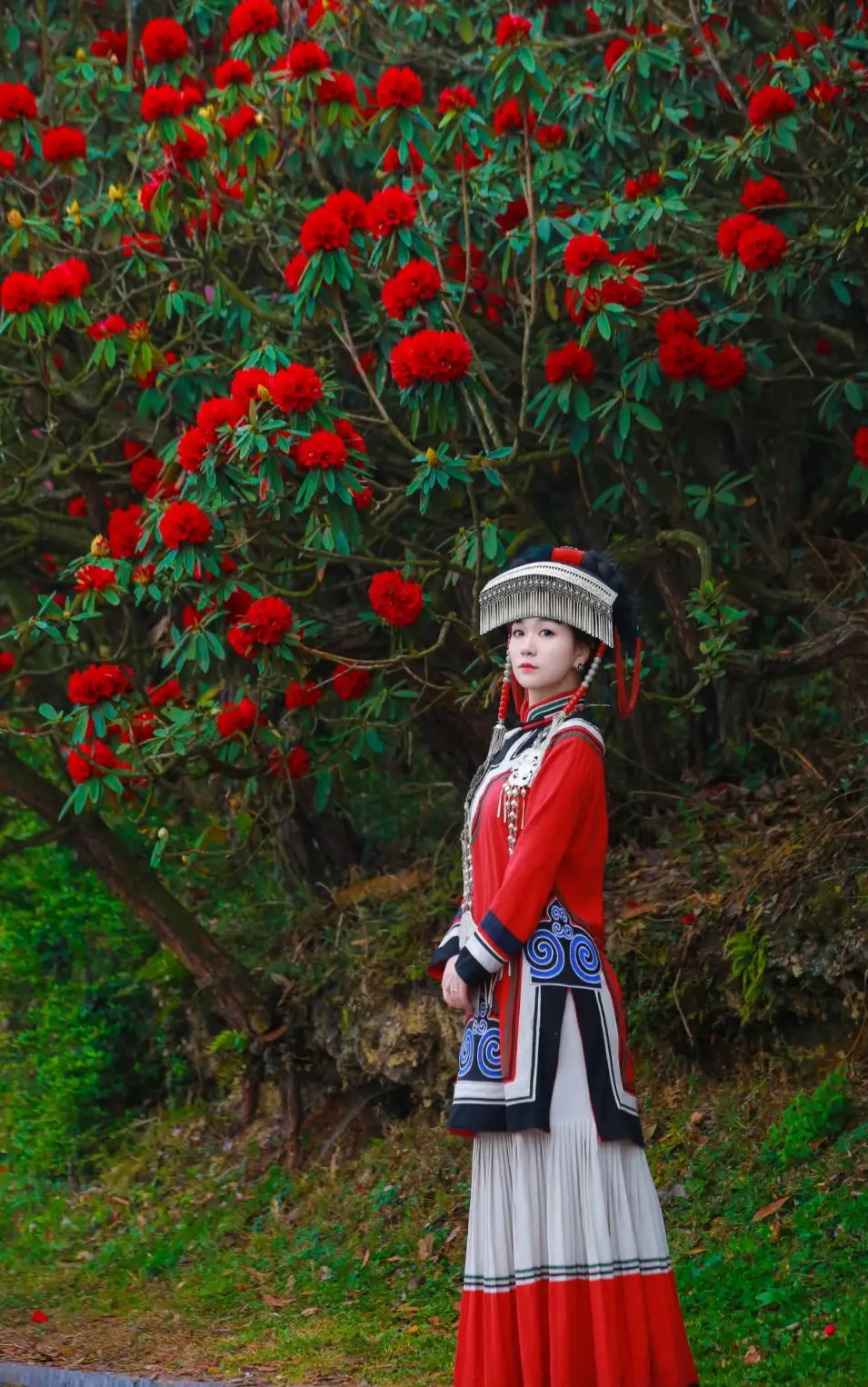 贵州百里杜鹃花期攻略_贵州百里杜鹃旅游攻略_贵州杜鹃花海旅游指南