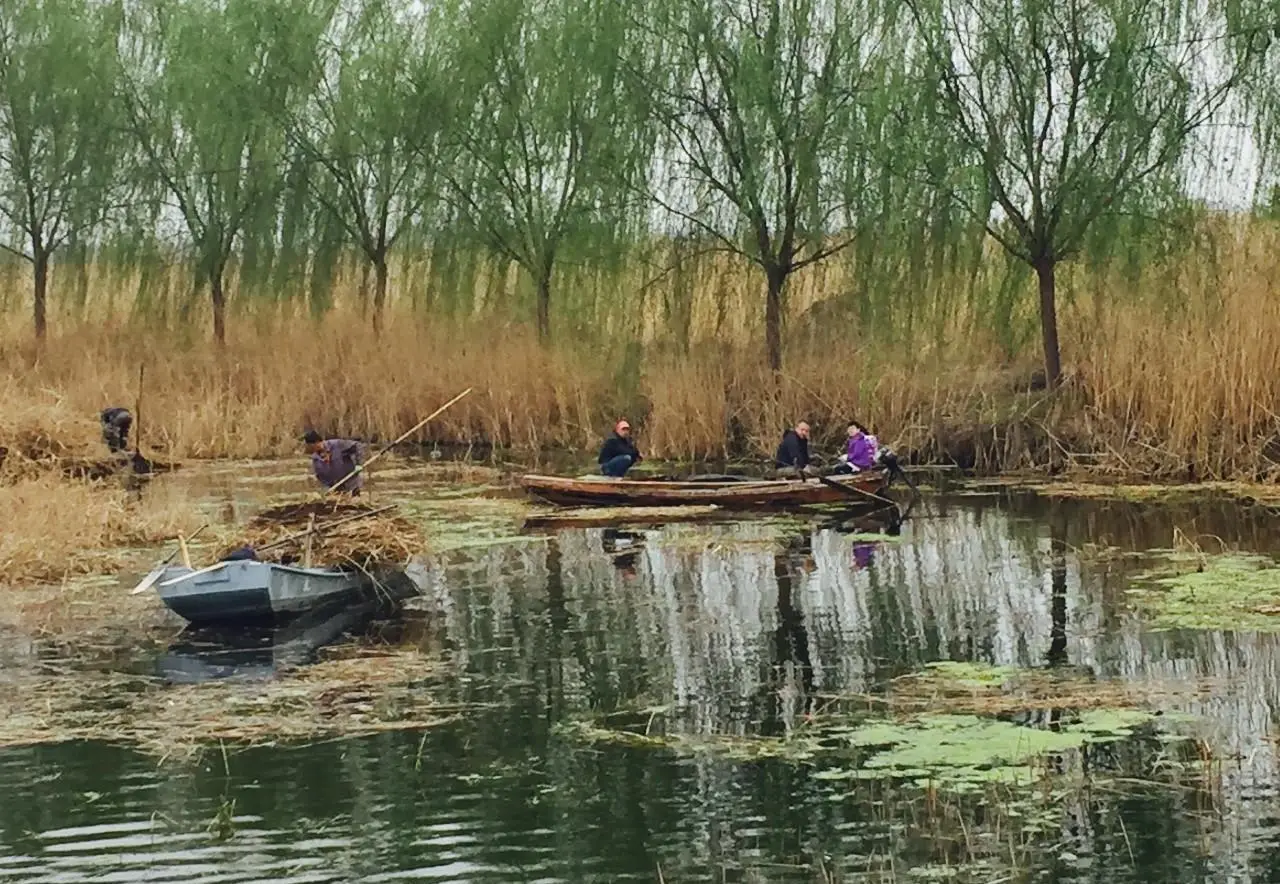 白洋淀引黄济淀工程_白洋淀景区旅游攻略_白洋淀面积缩水原因