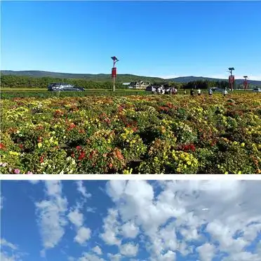 夏天伊春旅游攻略_伊春旅游攻略_避暑胜地伊春