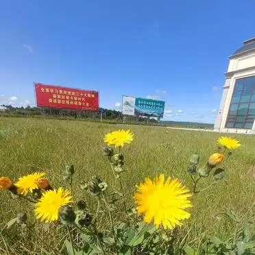 避暑胜地伊春_夏天伊春旅游攻略_伊春旅游攻略