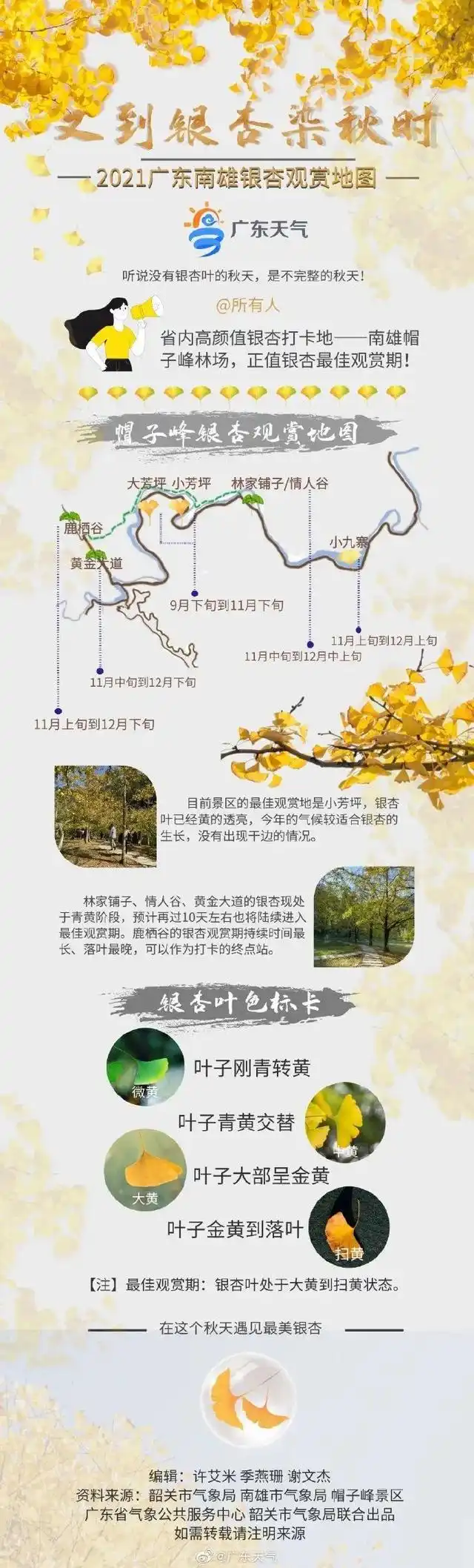 南雄银杏旅游攻略_广东秋天赏银杏攻略_韶关南雄帽子峰银杏观赏