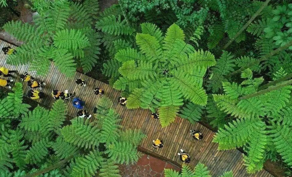 赤水大瀑布旅游攻略_佛光岩景区游览攻略_赤水丹霞大瀑布