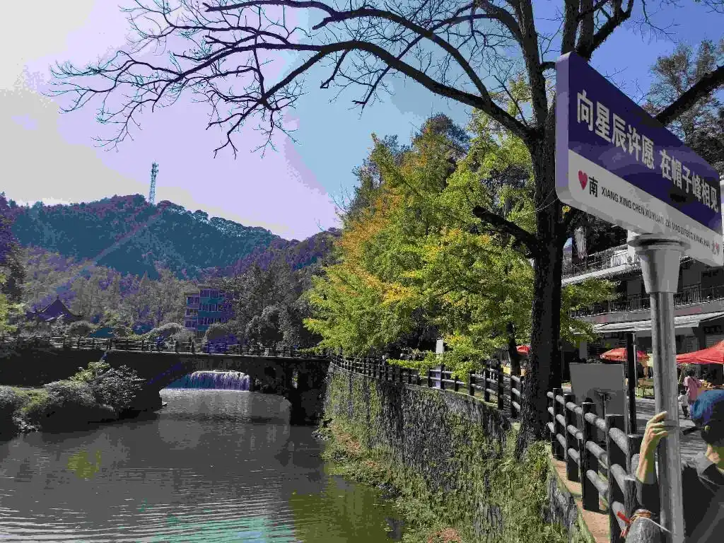 南雄银杏染秋四季村晚徒步_南雄银杏旅游攻略_韶关南雄帽子峰银杏徒步活动