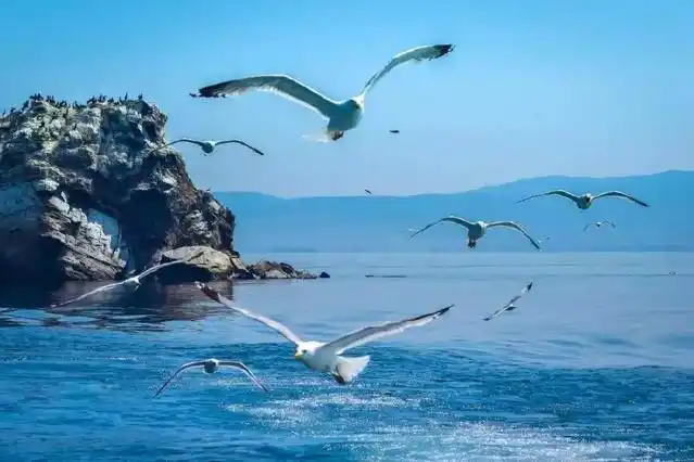 贝加尔湖秋季旅游_贝加尔湖旅游攻略_贝加尔湖生物多样性探索