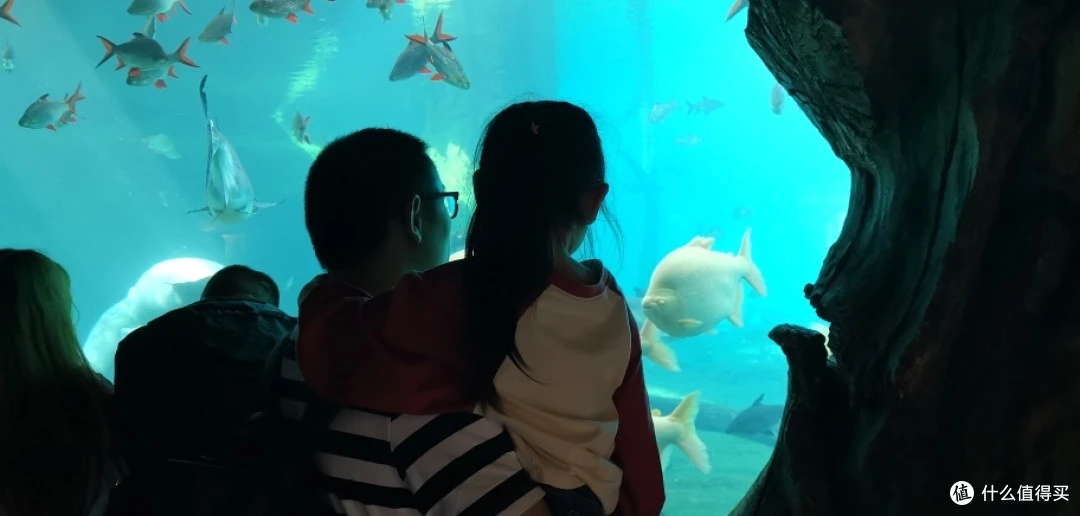 海底世界涨知识