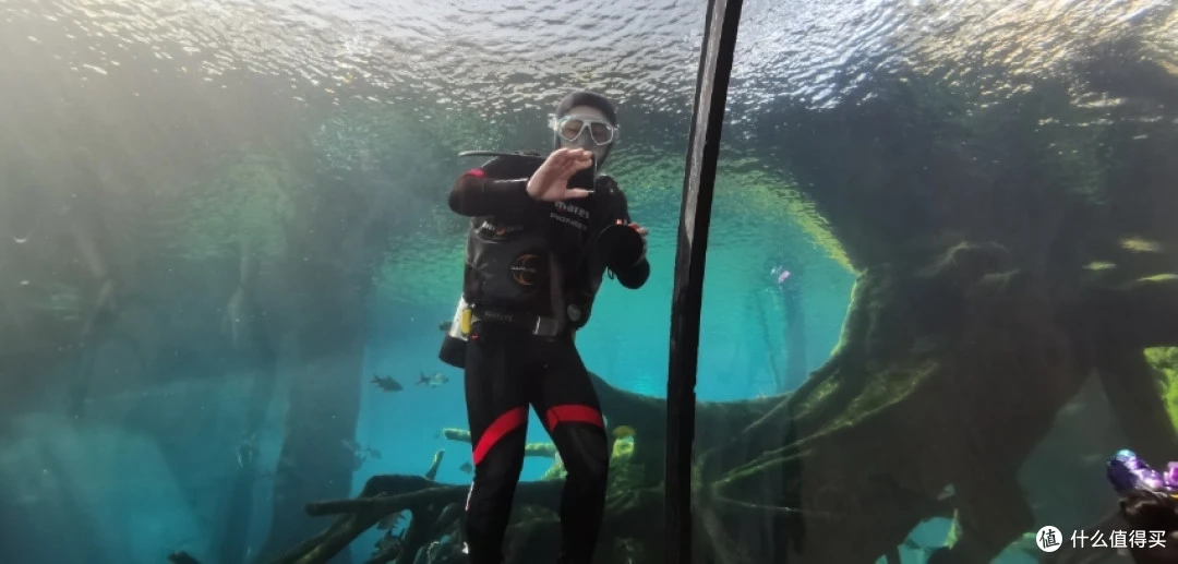 偶遇清洁水族馆的帅锅