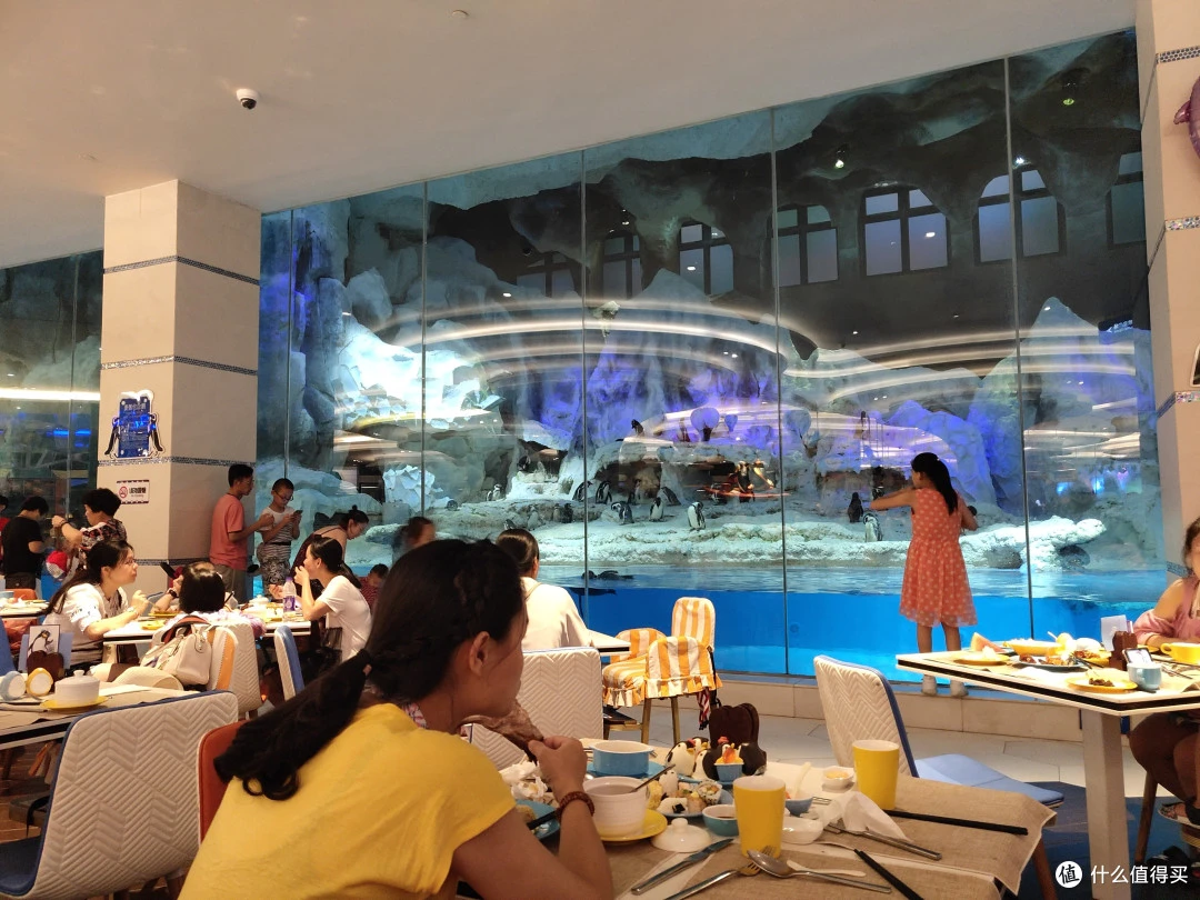 自助餐厅可以边吃边看企鹅