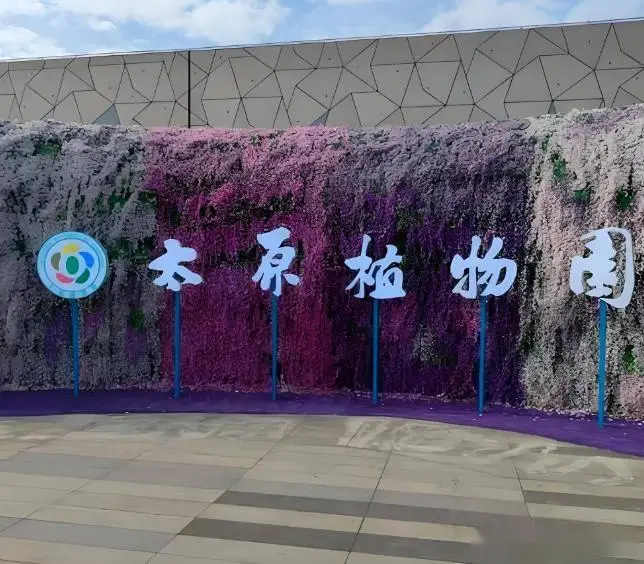 太原到芦芽山旅游攻略_太原美食攻略_太原十大景点