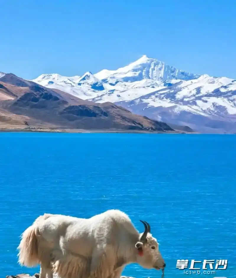 西藏旅游黄金季节_长沙到拉萨火车旅游攻略_坐火车去拉萨旅游攻略