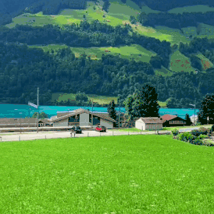 柬埔寨油炸大蜘蛛特色美食_柬埔寨金边旅游攻略_柬埔寨吴哥窟旅游攻略