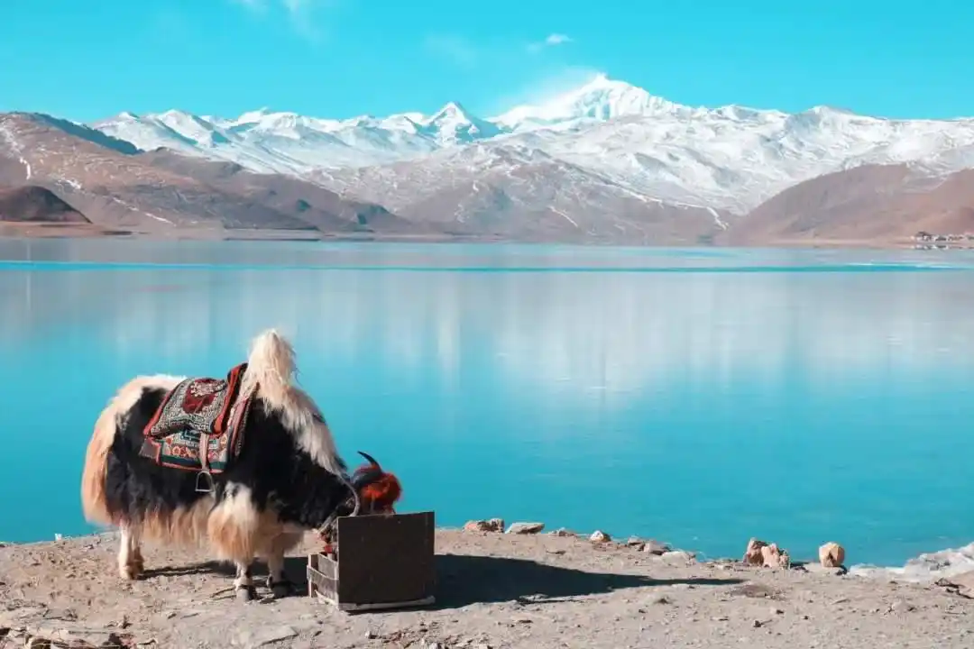 高原旅游专列_火车赴藏旅游_坐火车去拉萨旅游攻略