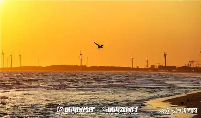 威海北线旅游线路_威海旅游攻略_威海一日旅游攻略