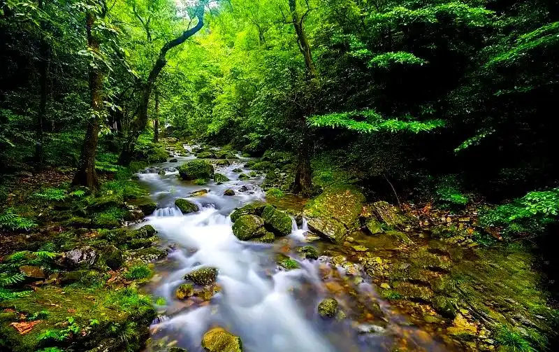 三清山雪景观赏点_三清山冬季旅游攻略_三清山冬季旅游攻略