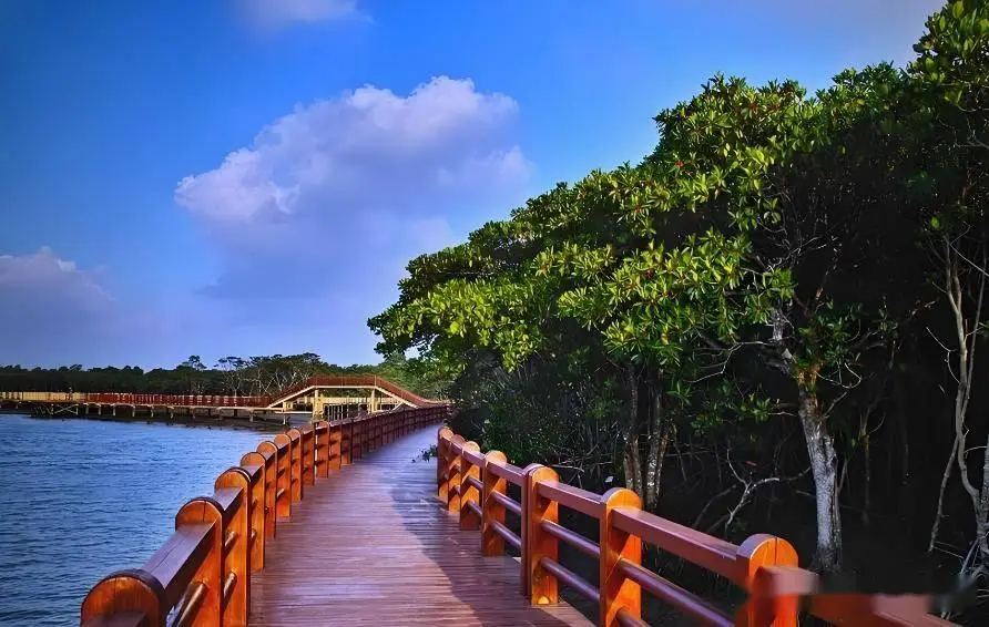 骑楼老街美食推荐_海口旅游攻略_海口地质公园旅游攻略