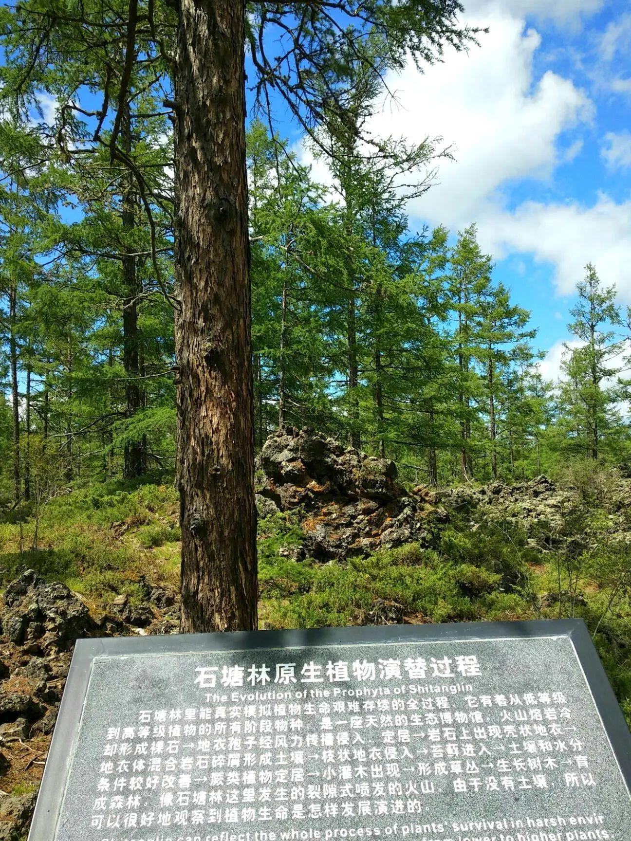 阿尔山旅游攻略 住宿_内蒙古阿尔山旅游攻略_阿尔山天池旅游攻略