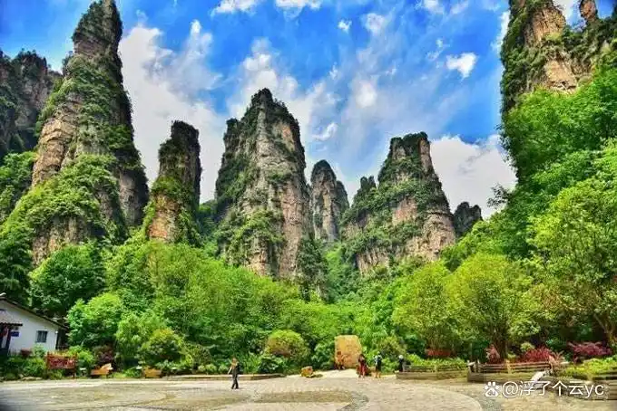 张家界5天4晚行程_张家界旅游攻略_张家界凤凰古城旅游攻略