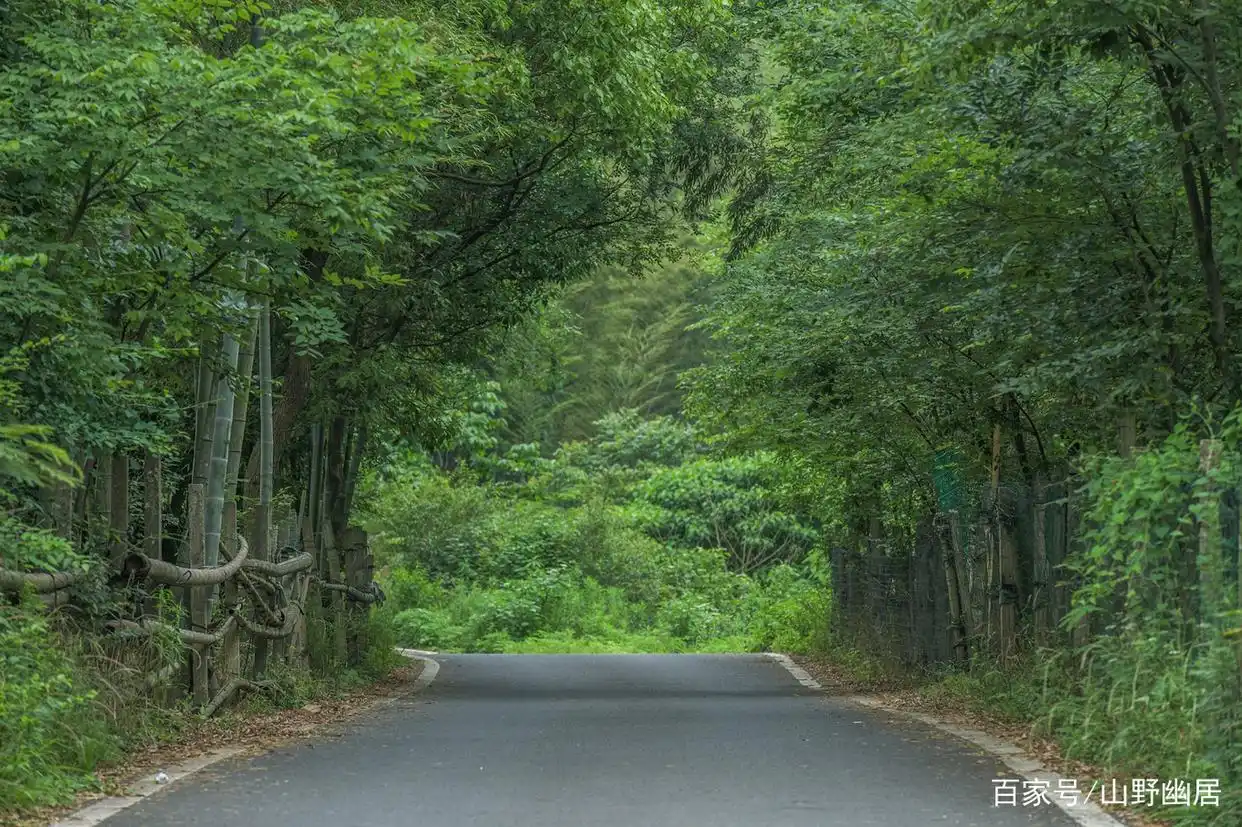 宜兴洑西村旅游攻略_苏南竹林资源生态村_江苏宜兴洑西村避暑度假