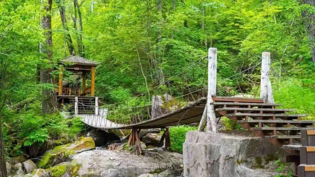 哈尔滨文旅局推出的七大主题16条线路_哈尔滨市文旅局邀请“着急姐”来旅游创业_哈尔滨旅游攻略